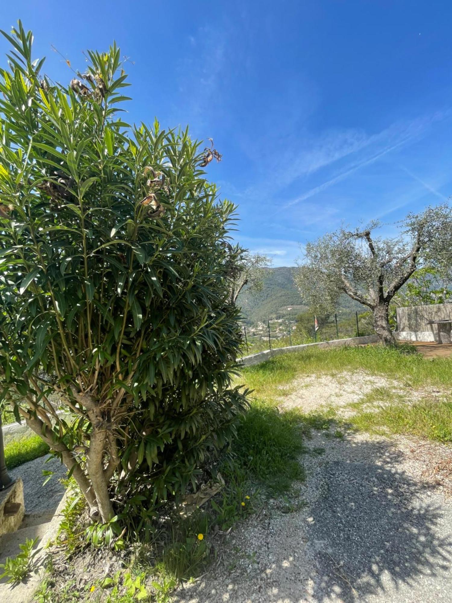 Appartement Charme Provencal Pres De *
